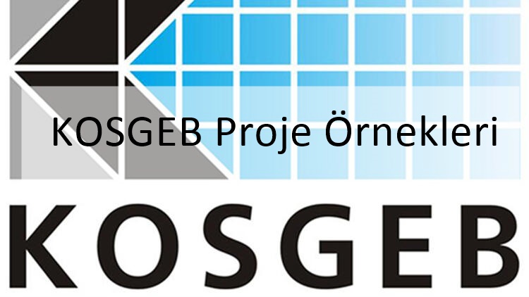 KOSGEB Proje Örnekleri