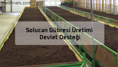 Solucan Gübresi Üretimi Devlet Desteği