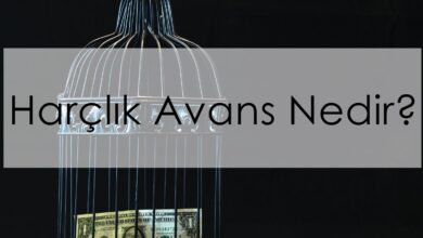 Harçlık Avans Nedir?