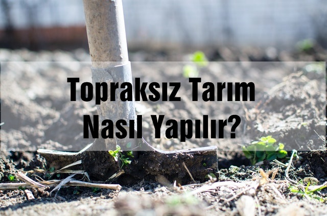 Topraksız Tarım Nasıl Yapılır?